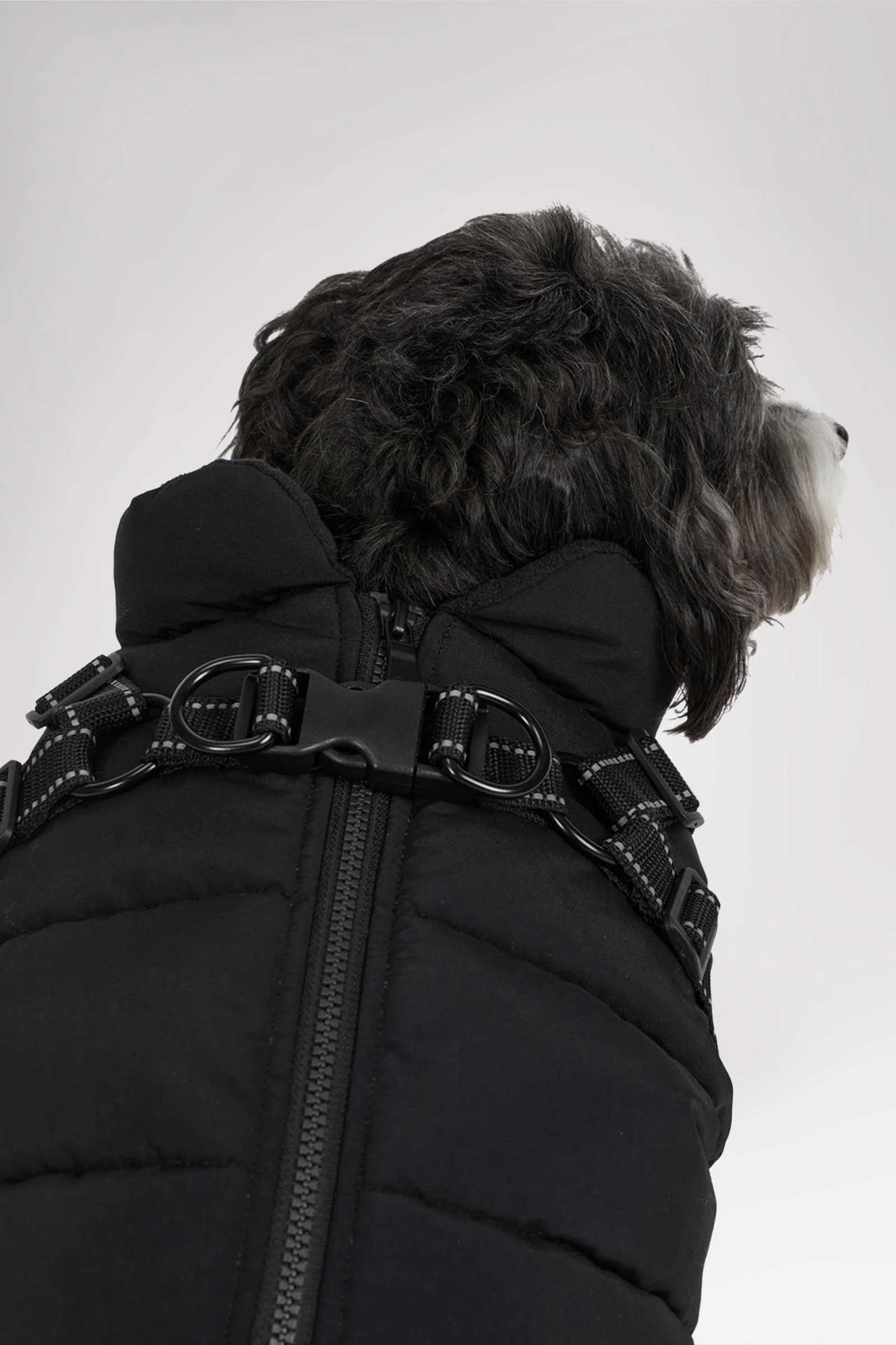 Atlas Puffer Jacket with Built-In Harness for Dogs - Image 4