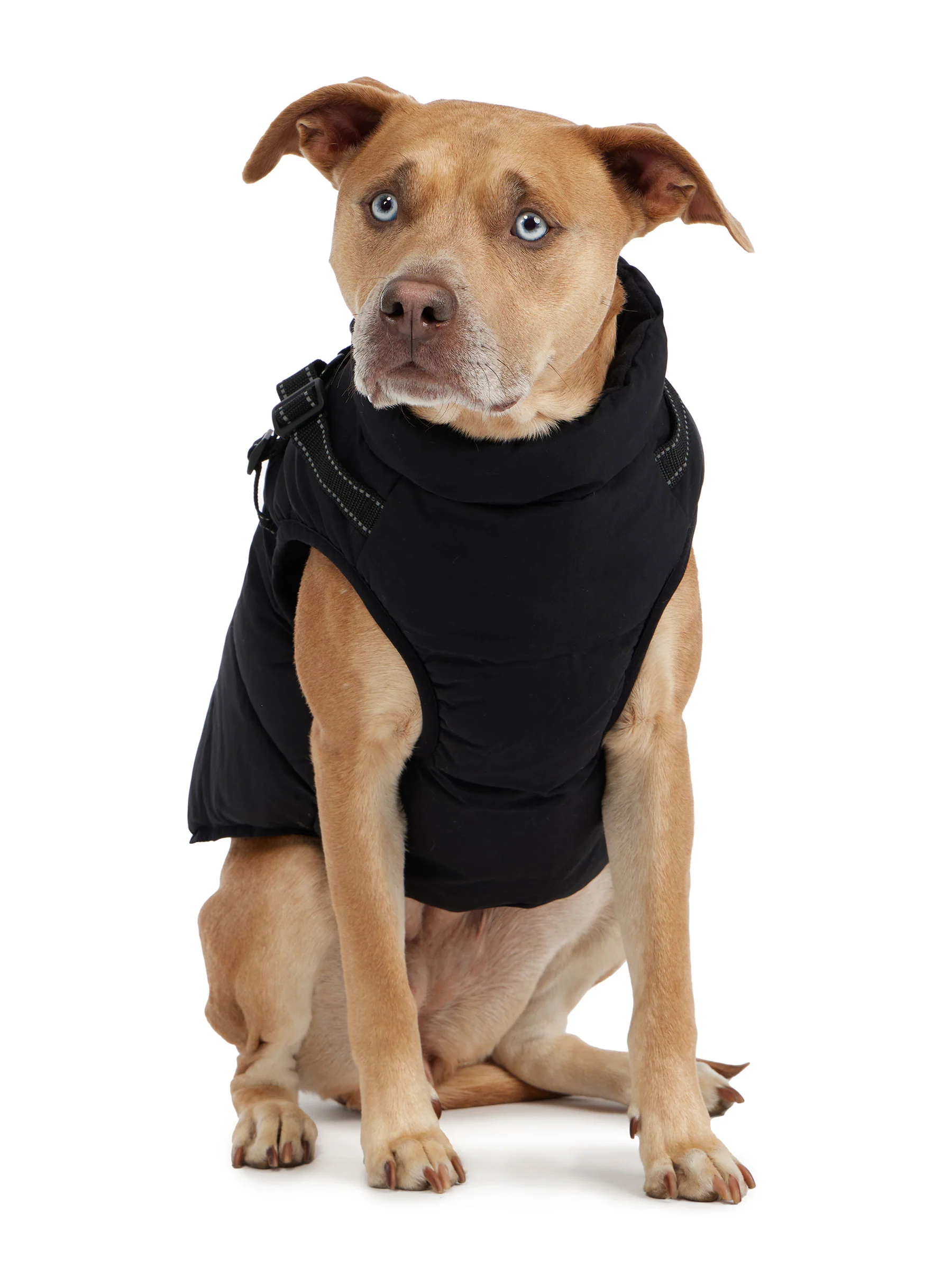 Atlas Puffer Jacket with Built-In Harness for Dogs - Image 5