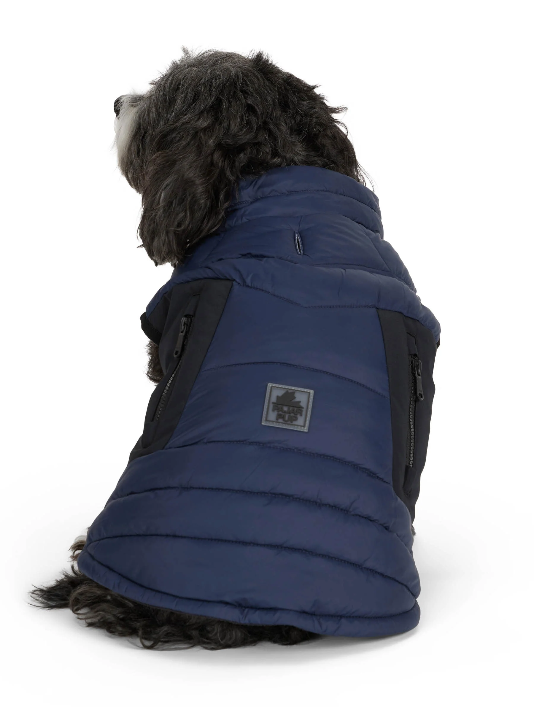 Beau Jacket w/Leash Attachment for Dogs - Image 10