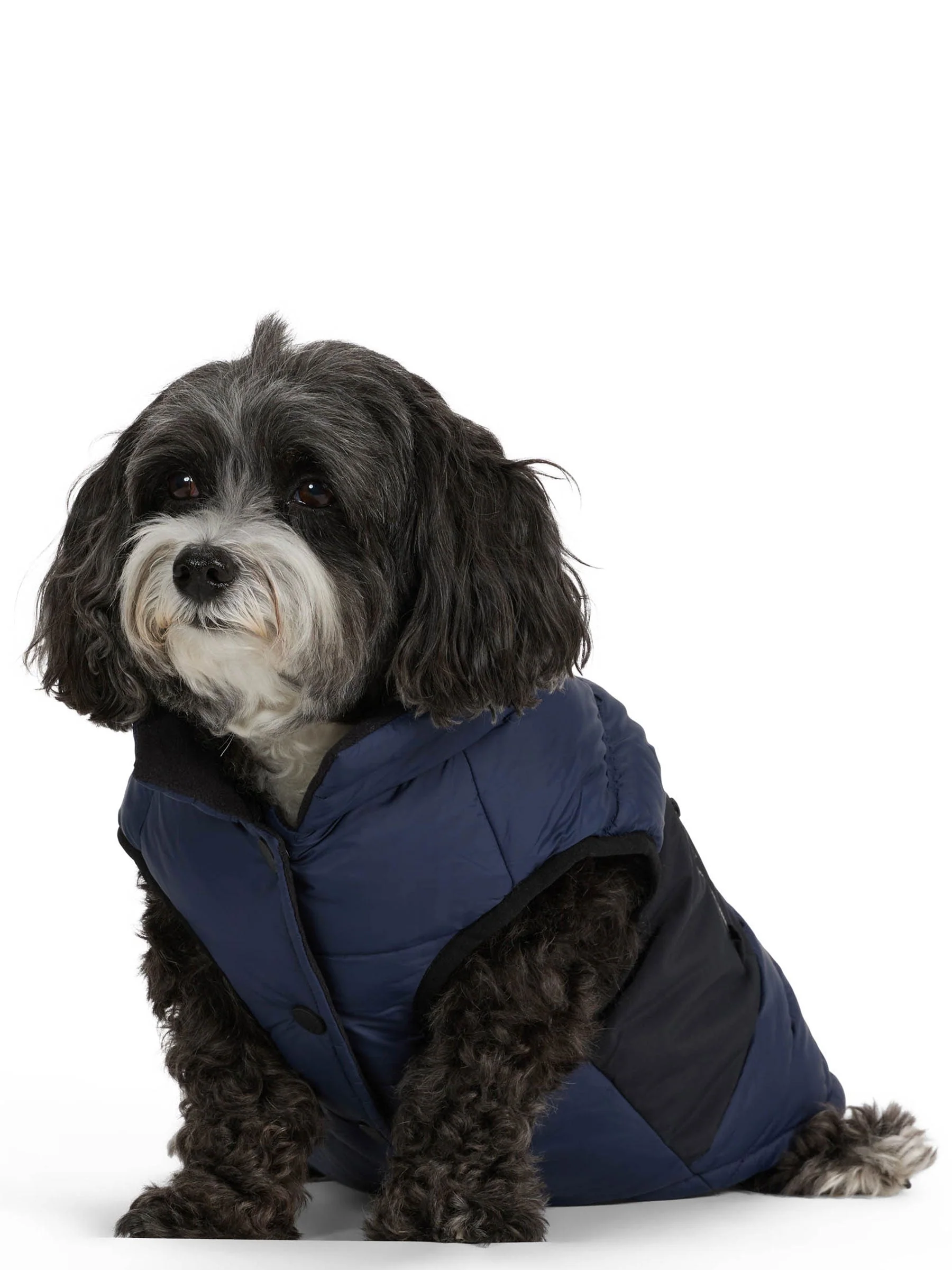 Beau Jacket w/Leash Attachment for Dogs - Image 12