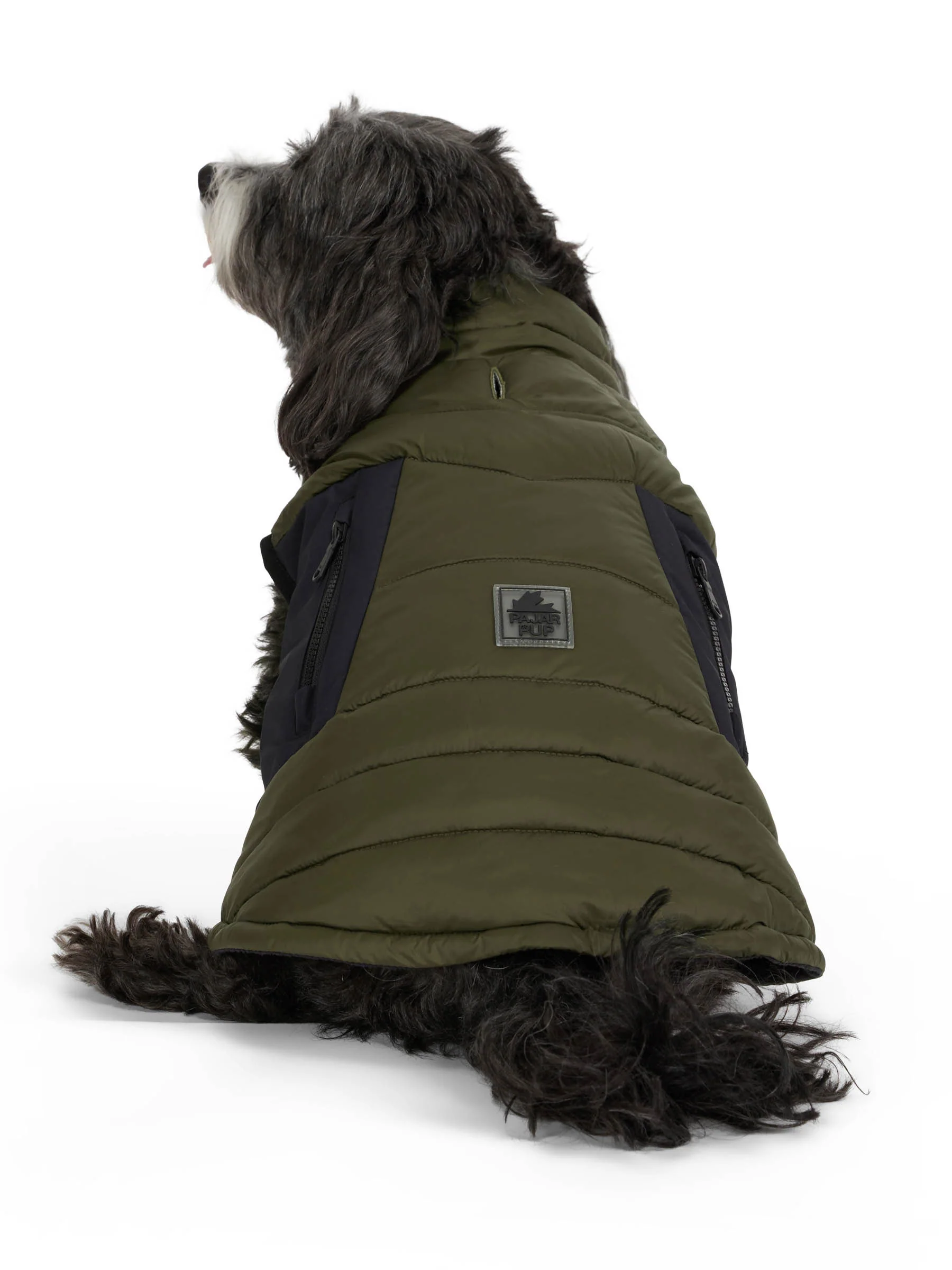 Beau Jacket w/Leash Attachment for Dogs - Image 4