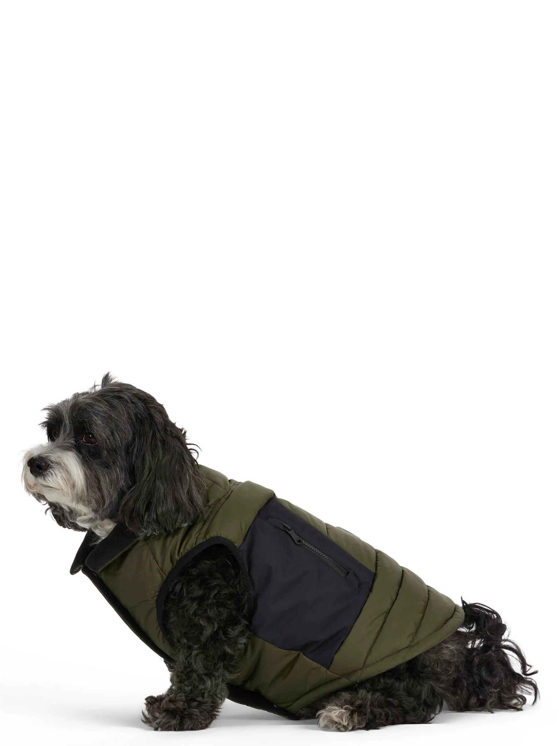 Beau Jacket w/Leash Attachment for Dogs - Image 5