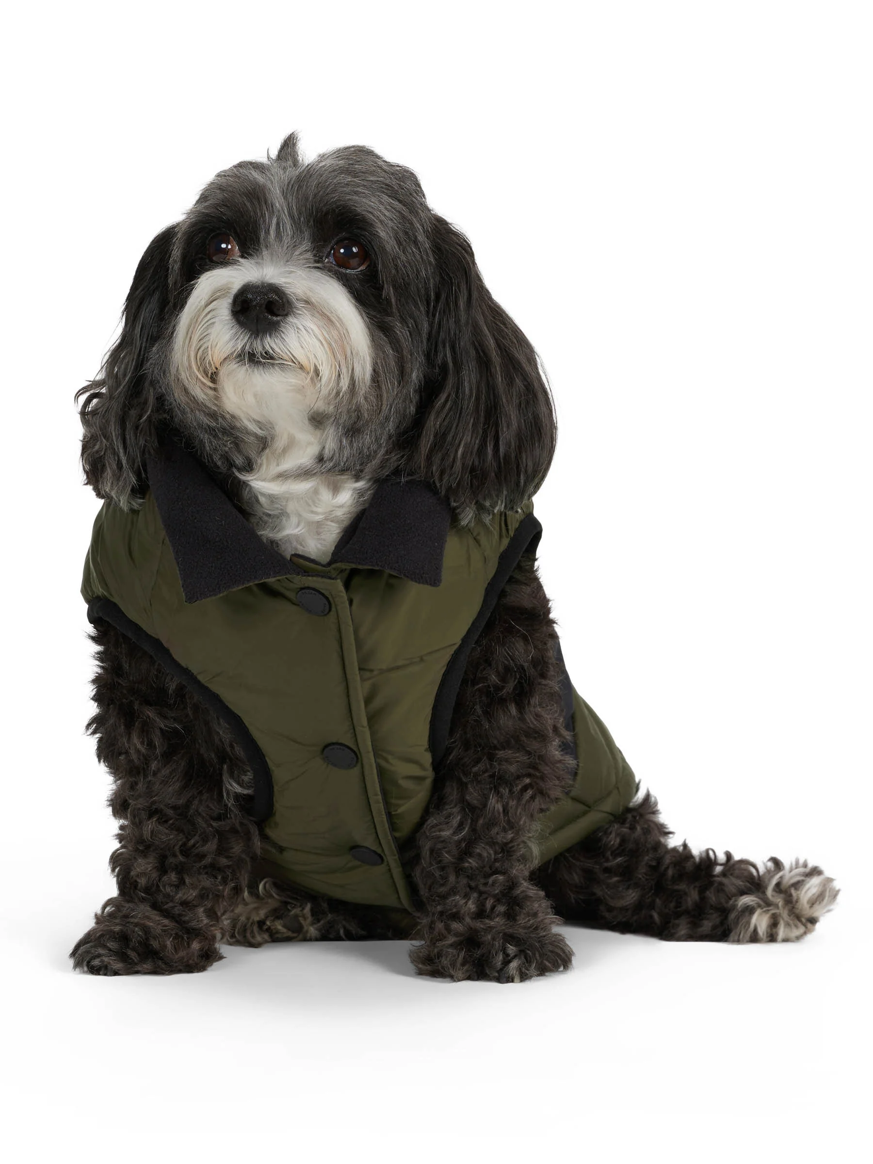 Beau Jacket w/Leash Attachment for Dogs - Image 6