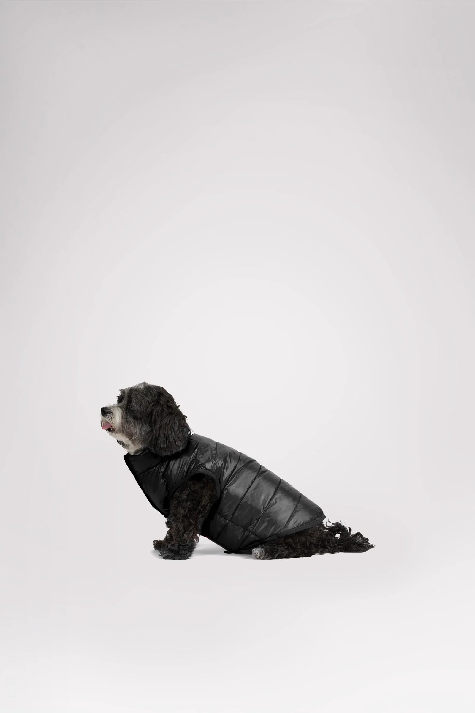 Cora Reversible Packable Puffer for Dogs - Image 11