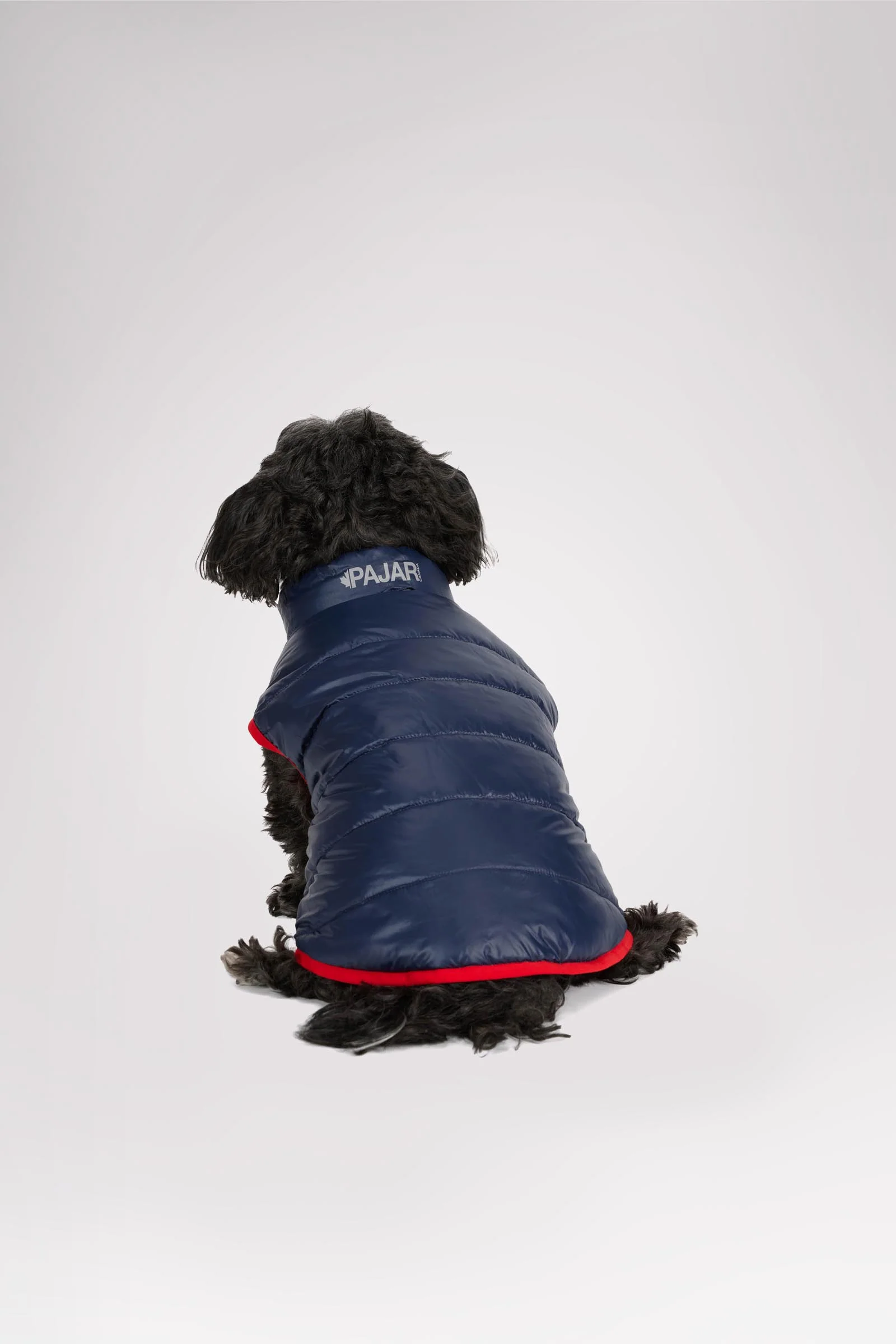 Cora Reversible Packable Puffer for Dogs - Image 14