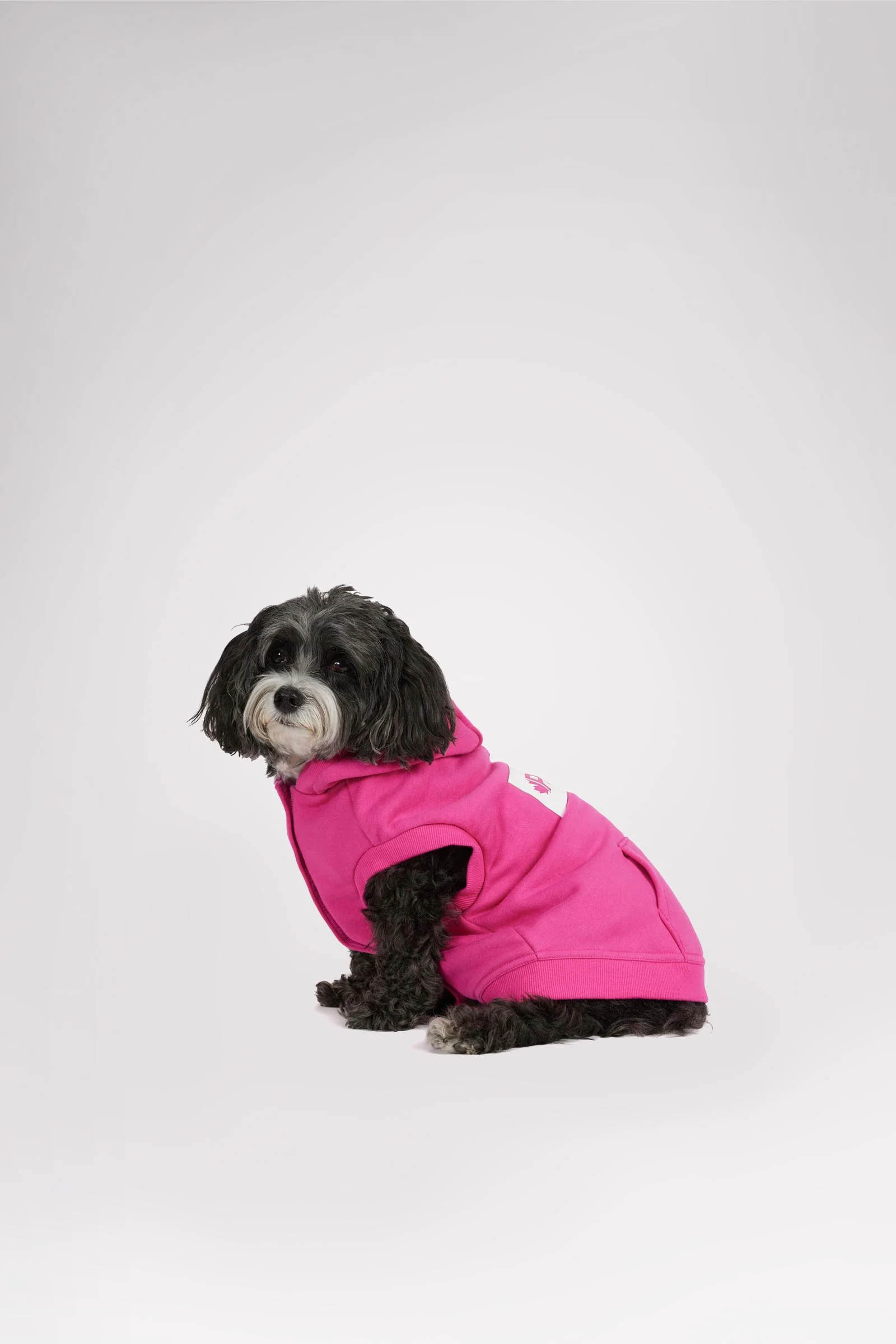 Dash Hoodie for Dogs - Image 12