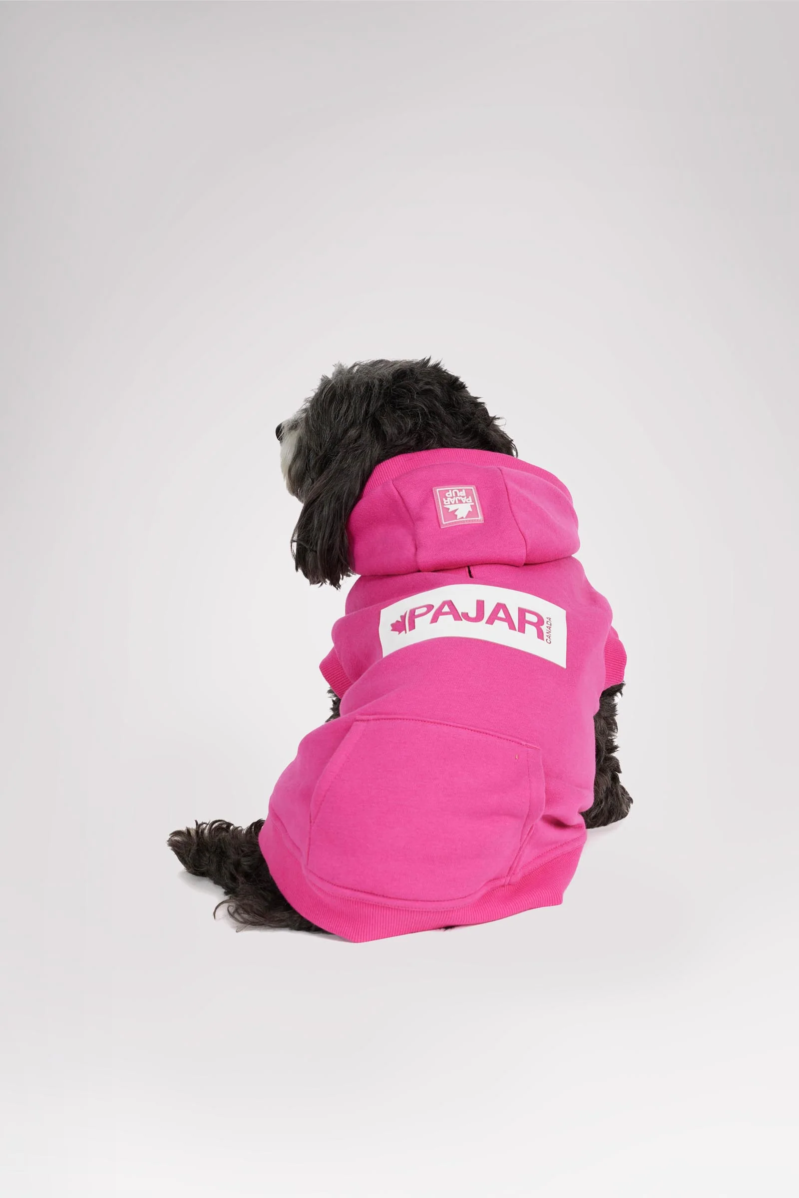 Dash Hoodie for Dogs - Image 16