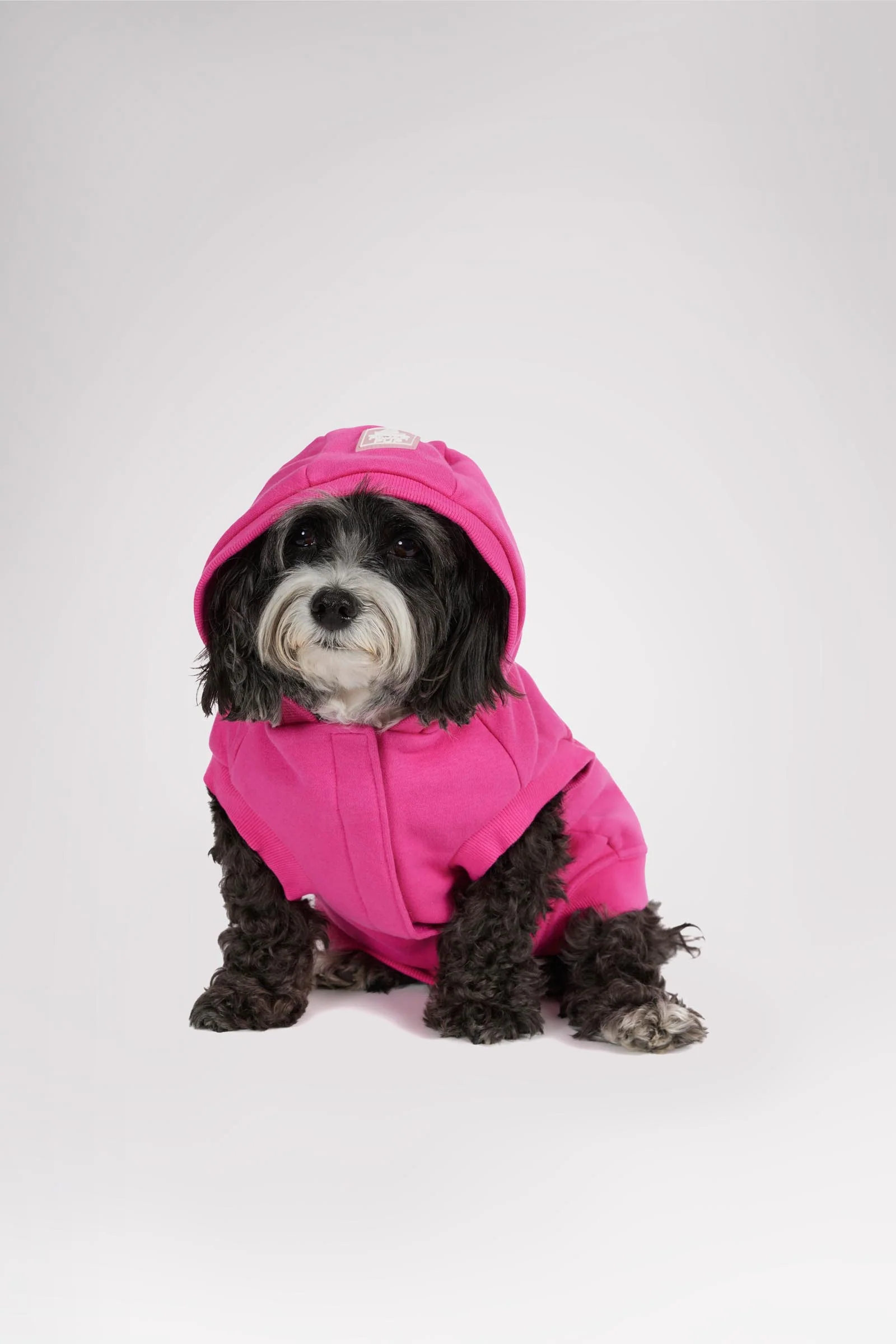 Dash Hoodie for Dogs - Image 18
