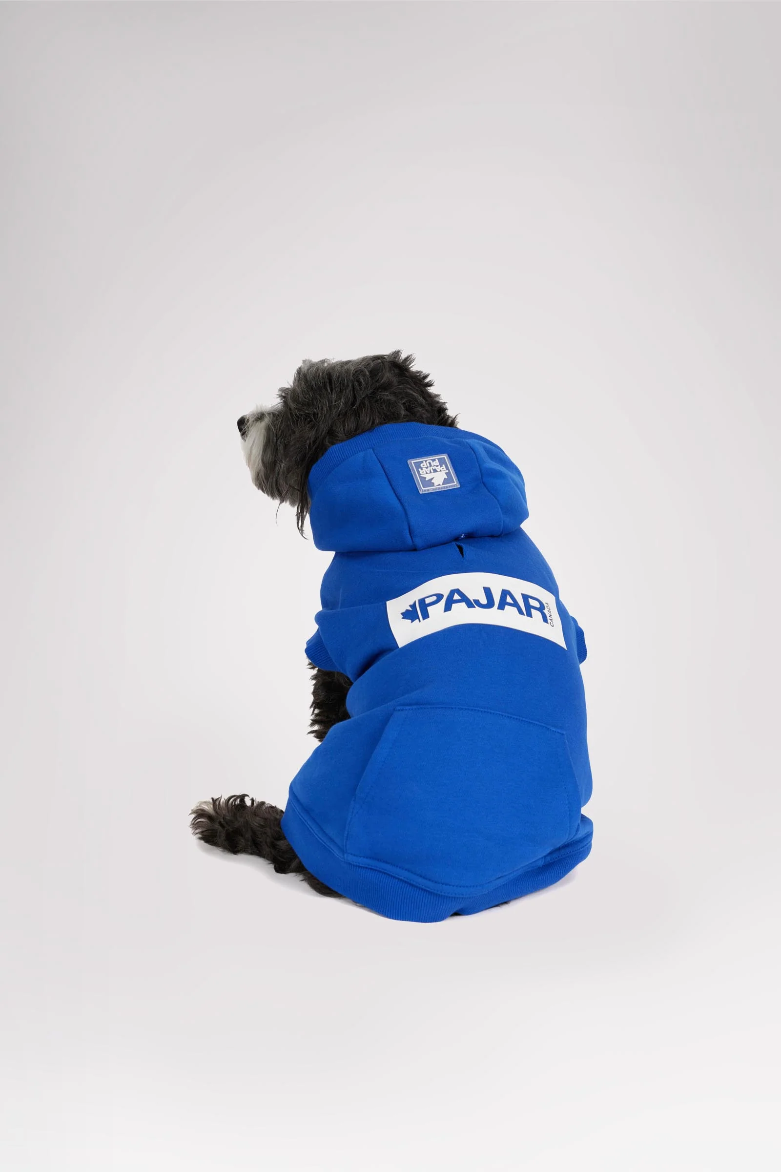 Dash Hoodie for Dogs - Image 4