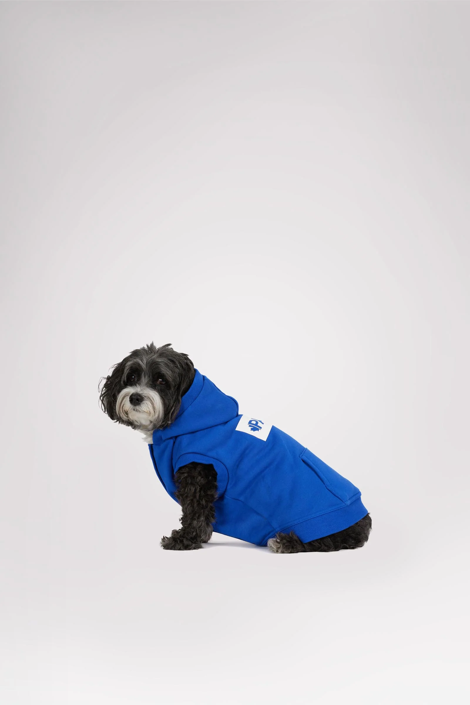 Dash Hoodie for Dogs - Image 5