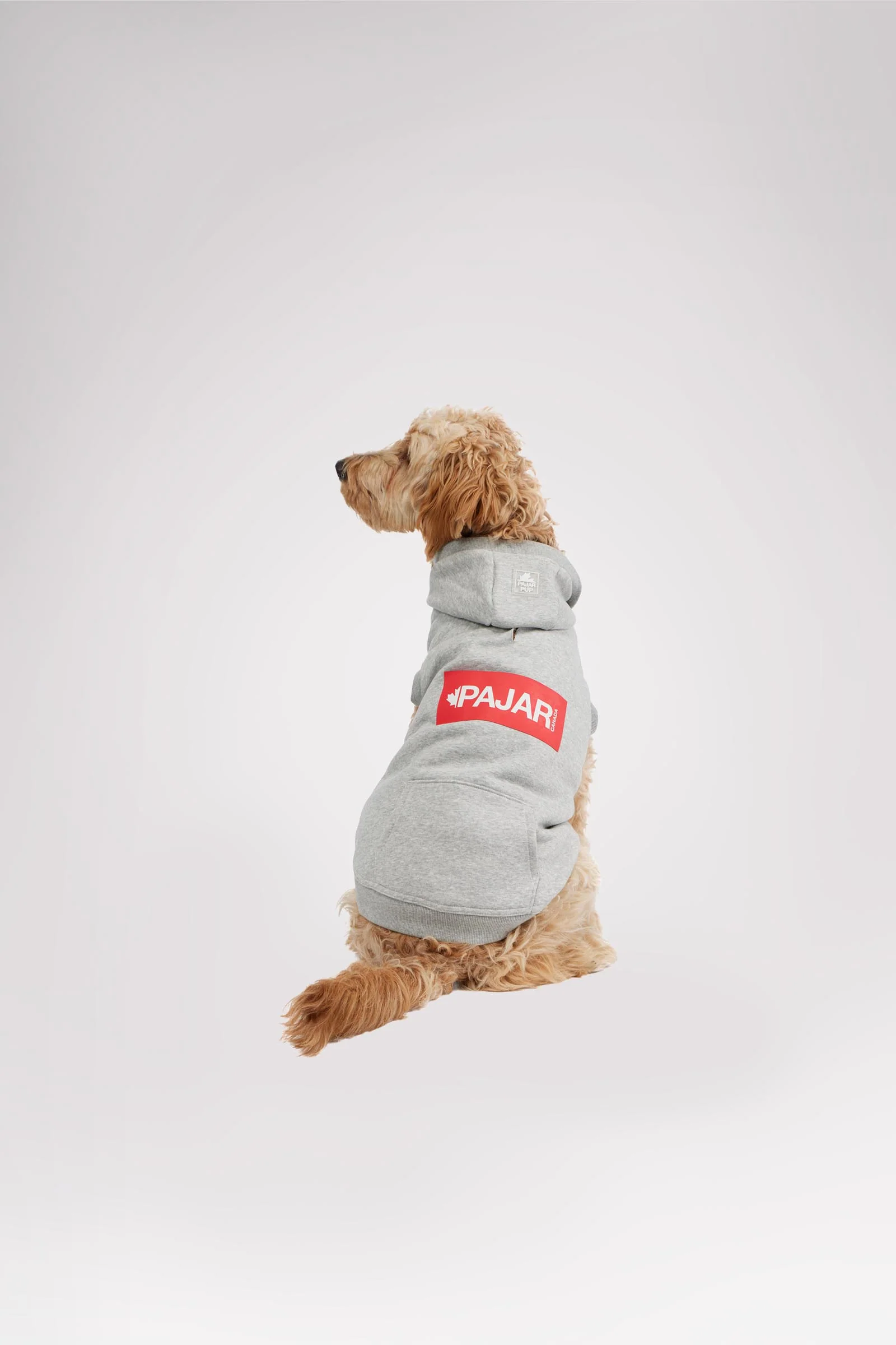 Dash Hoodie for Dogs - Image 7