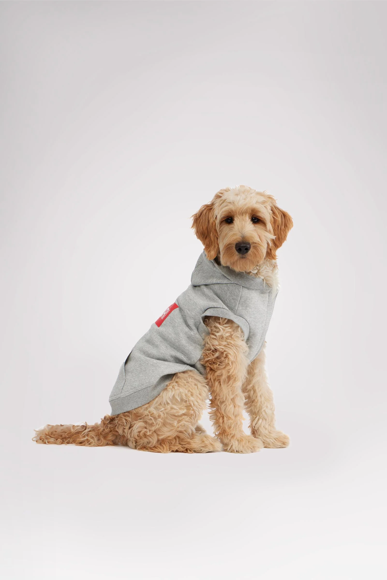 Dash Hoodie for Dogs - Image 8