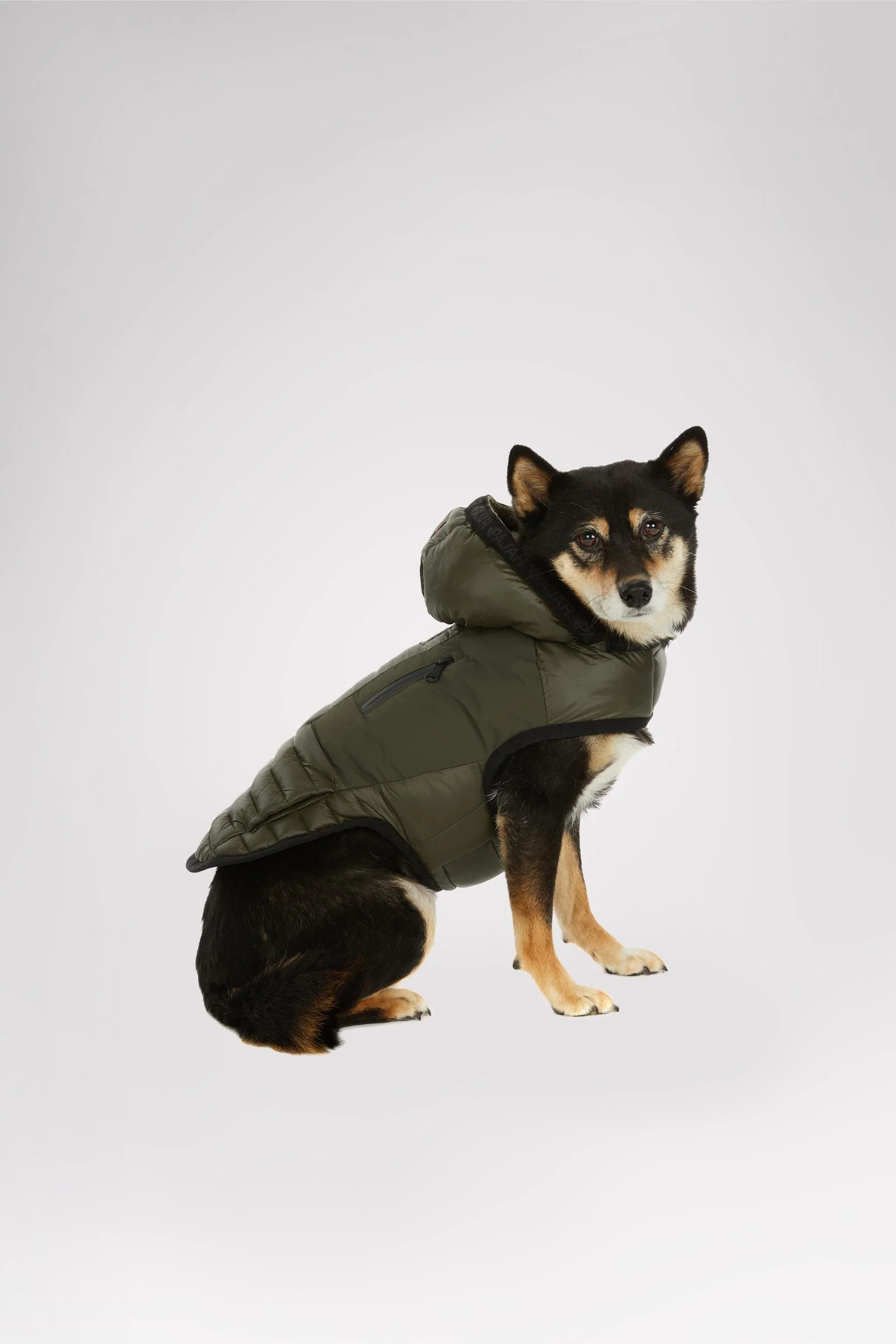Eddie Jacket for Dogs - Image 2