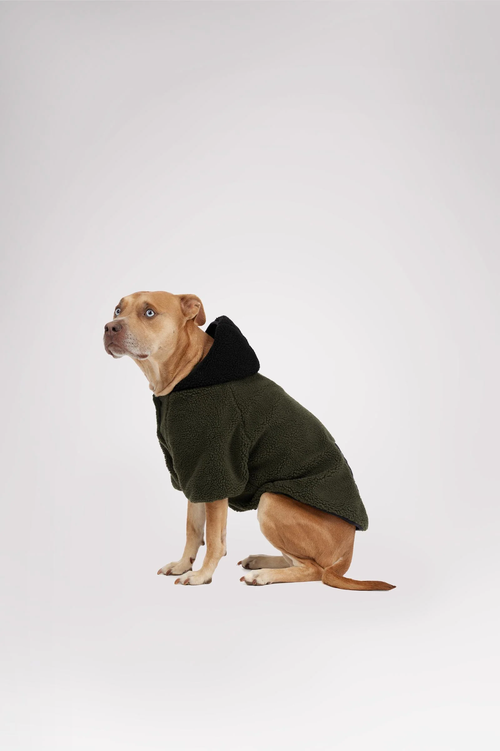 Max Jacket w/Hood for Dogs - Image 5