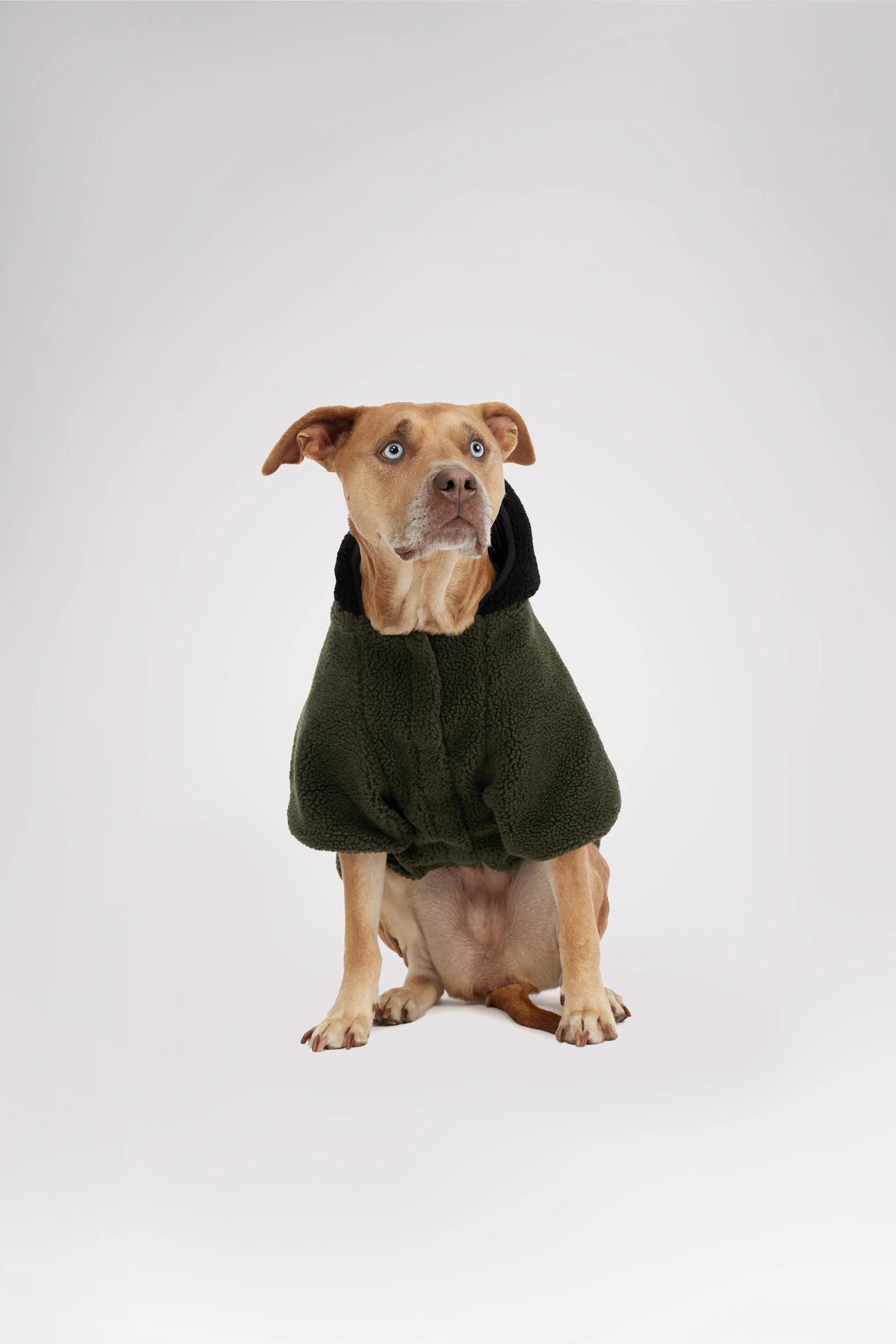 Max Jacket w/Hood for Dogs - Image 6