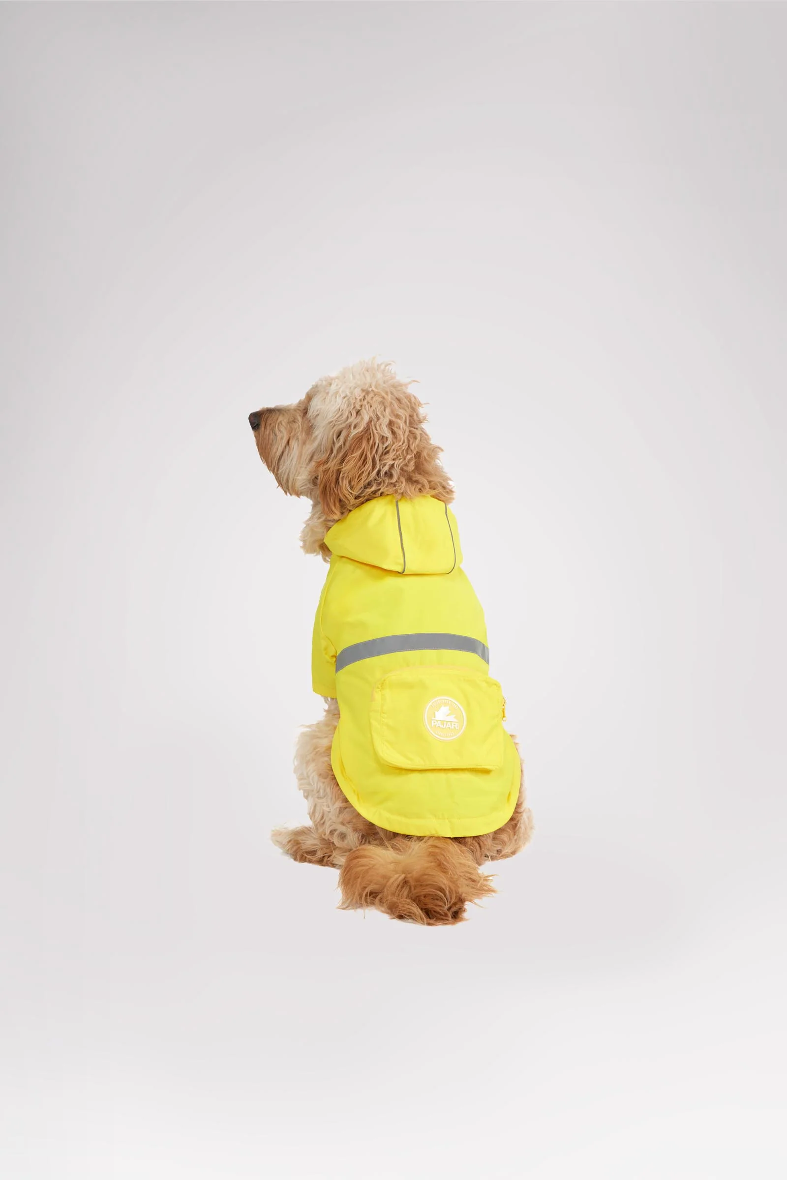 Neo reflective Rain Jacket for Dogs - Image 3