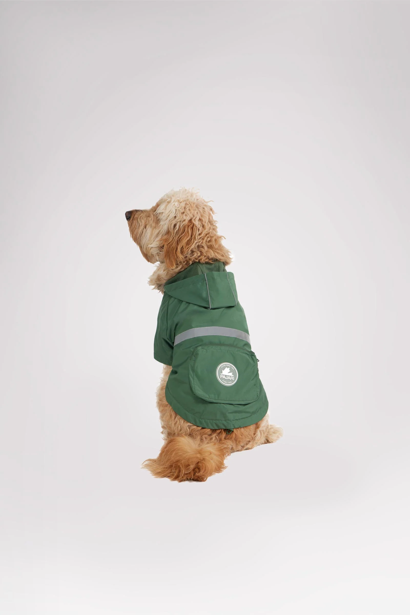 Neo reflective Rain Jacket for Dogs - Image 4