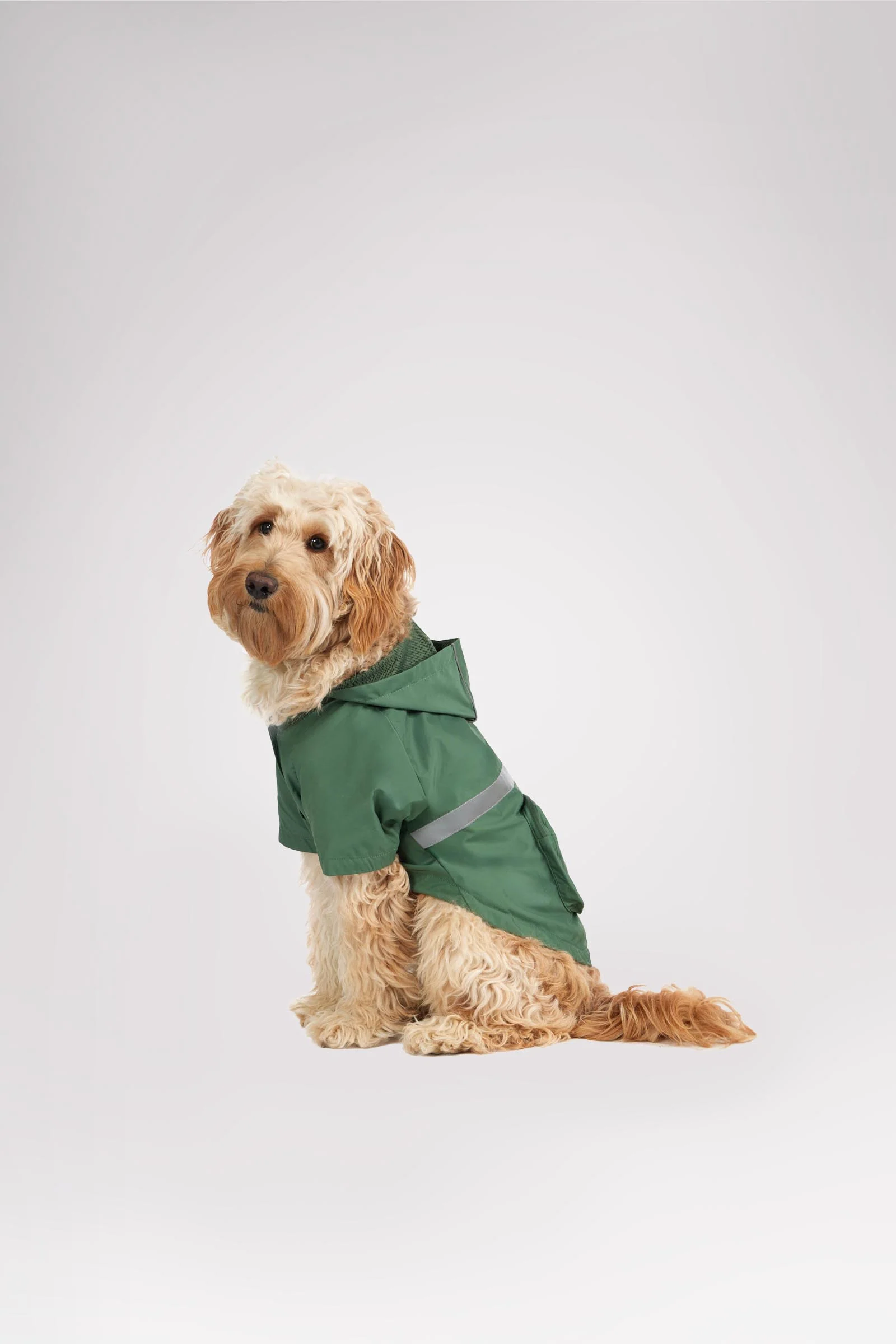 Neo reflective Rain Jacket for Dogs - Image 5