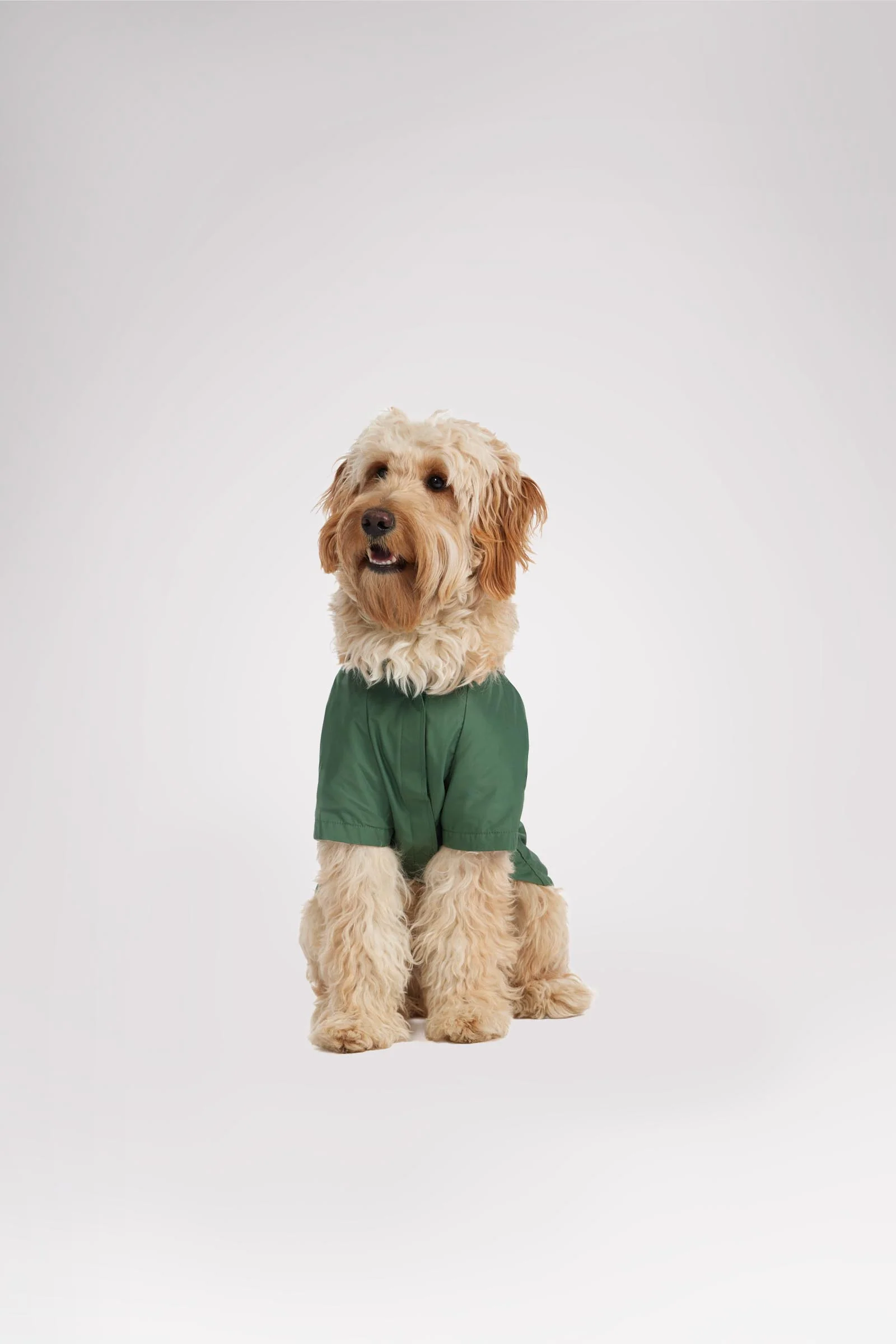 Neo reflective Rain Jacket for Dogs - Image 6