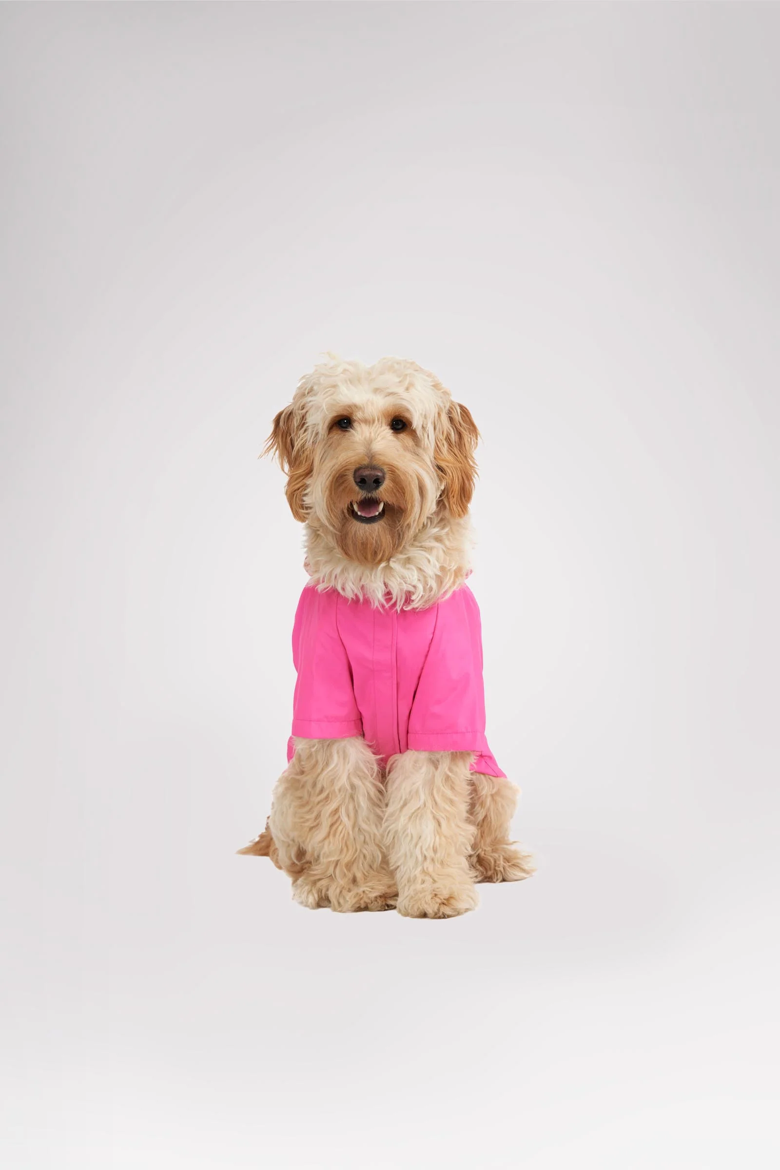 Neo reflective Rain Jacket for Dogs - Image 7