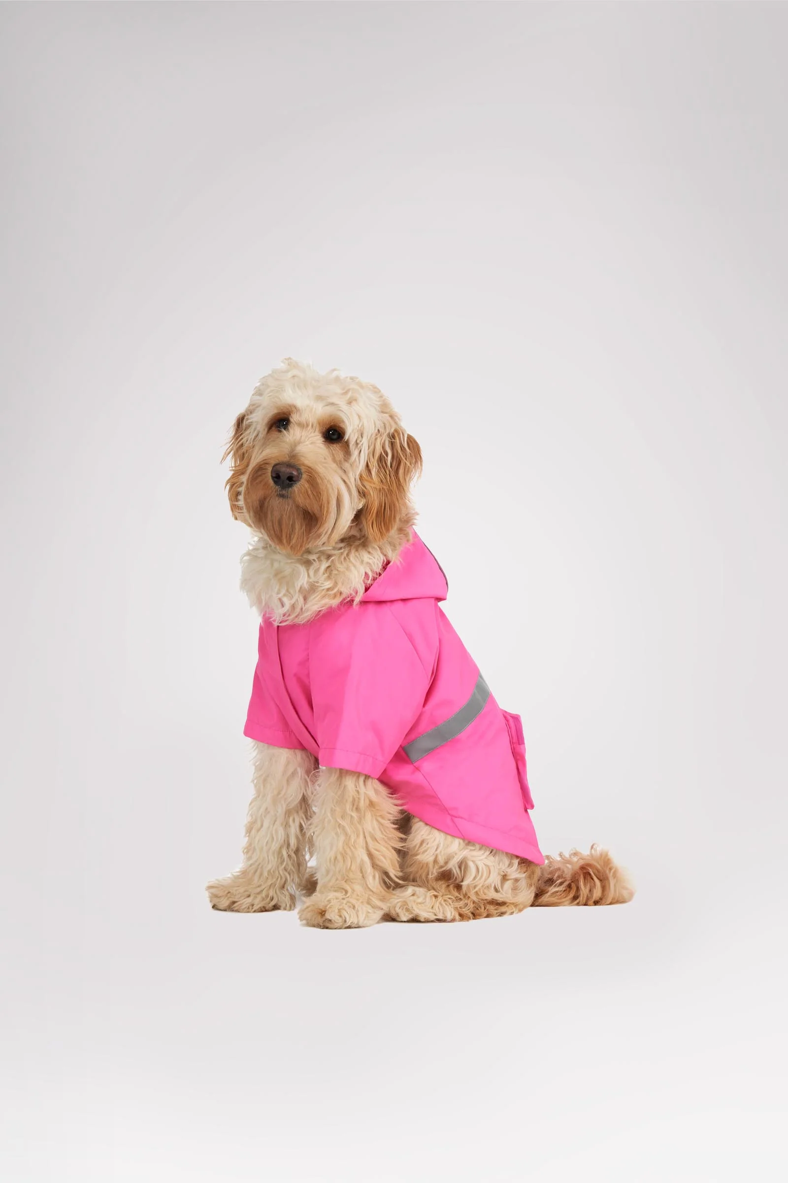 Neo reflective Rain Jacket for Dogs - Image 8