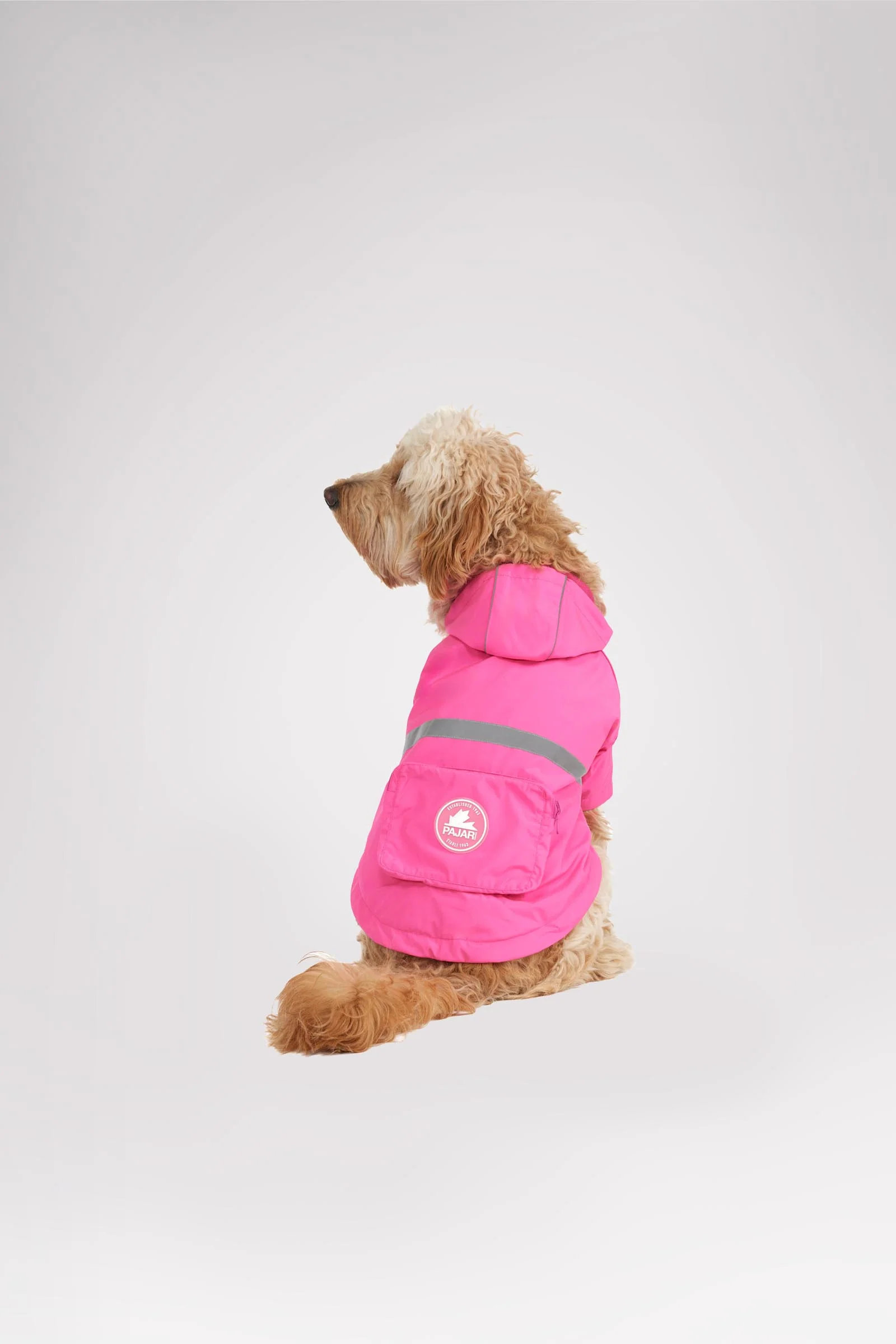 Neo reflective Rain Jacket for Dogs - Image 9