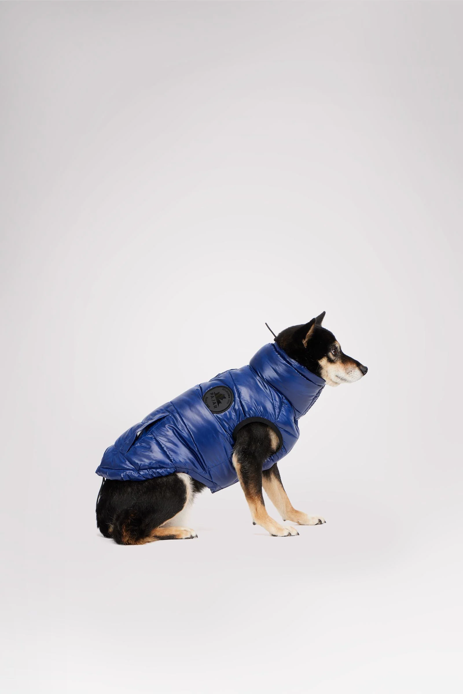 Theo Reversible Puffer for Dogs - Image 3