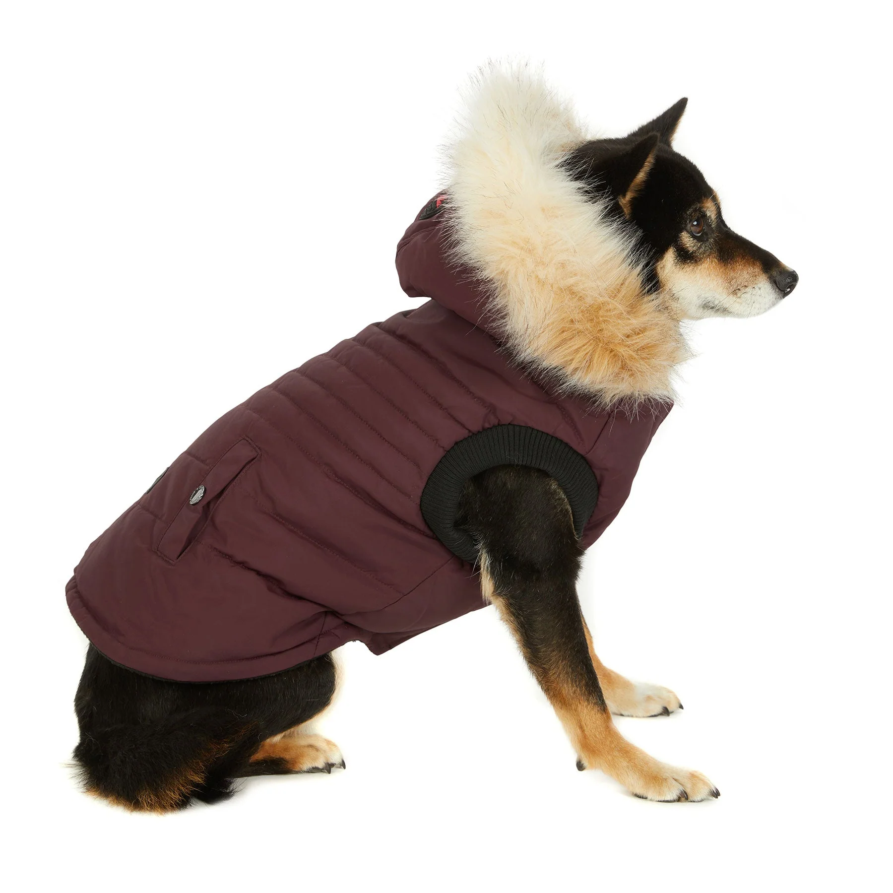 Toby Jacket for Dogs - Image 5