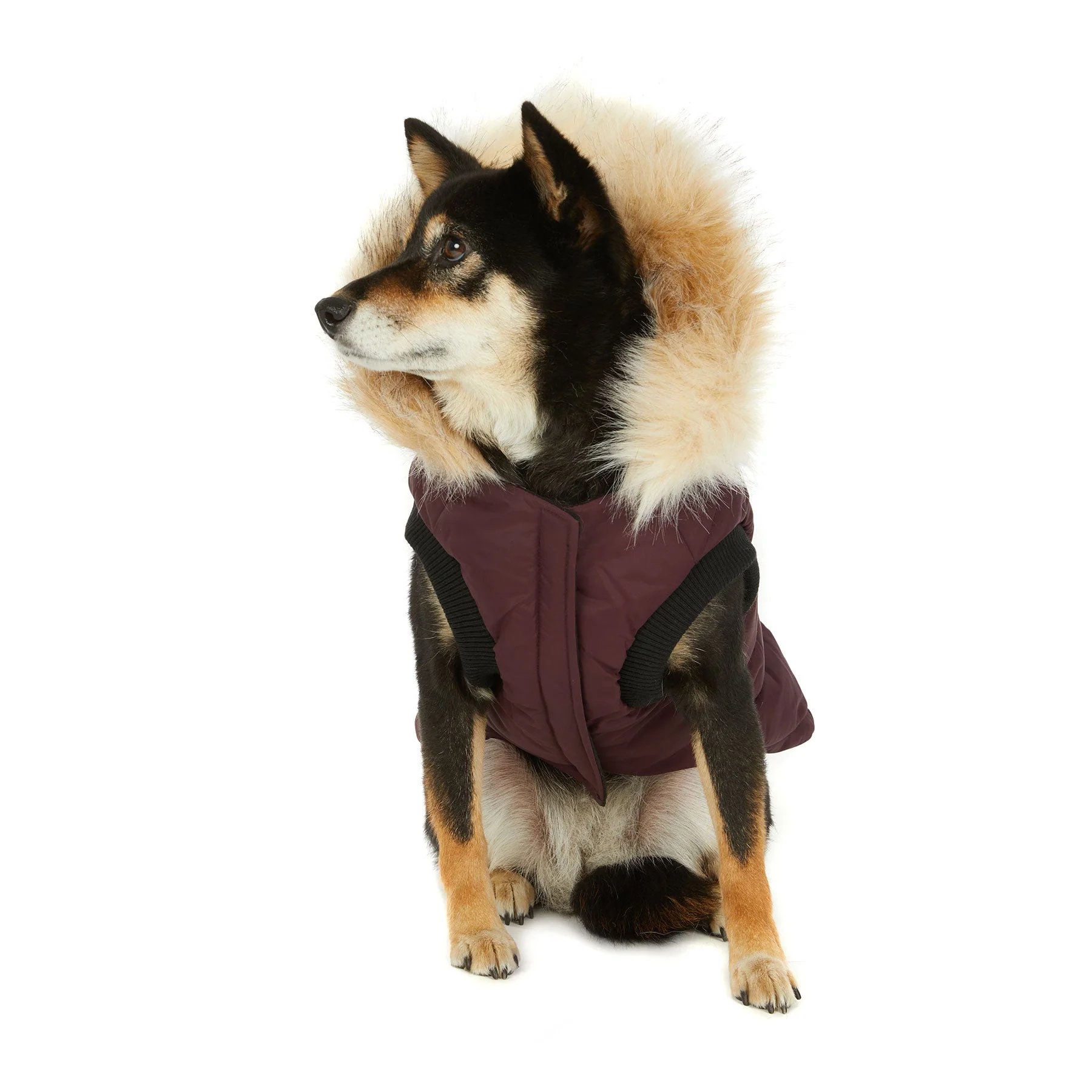 Toby Jacket for Dogs - Image 6