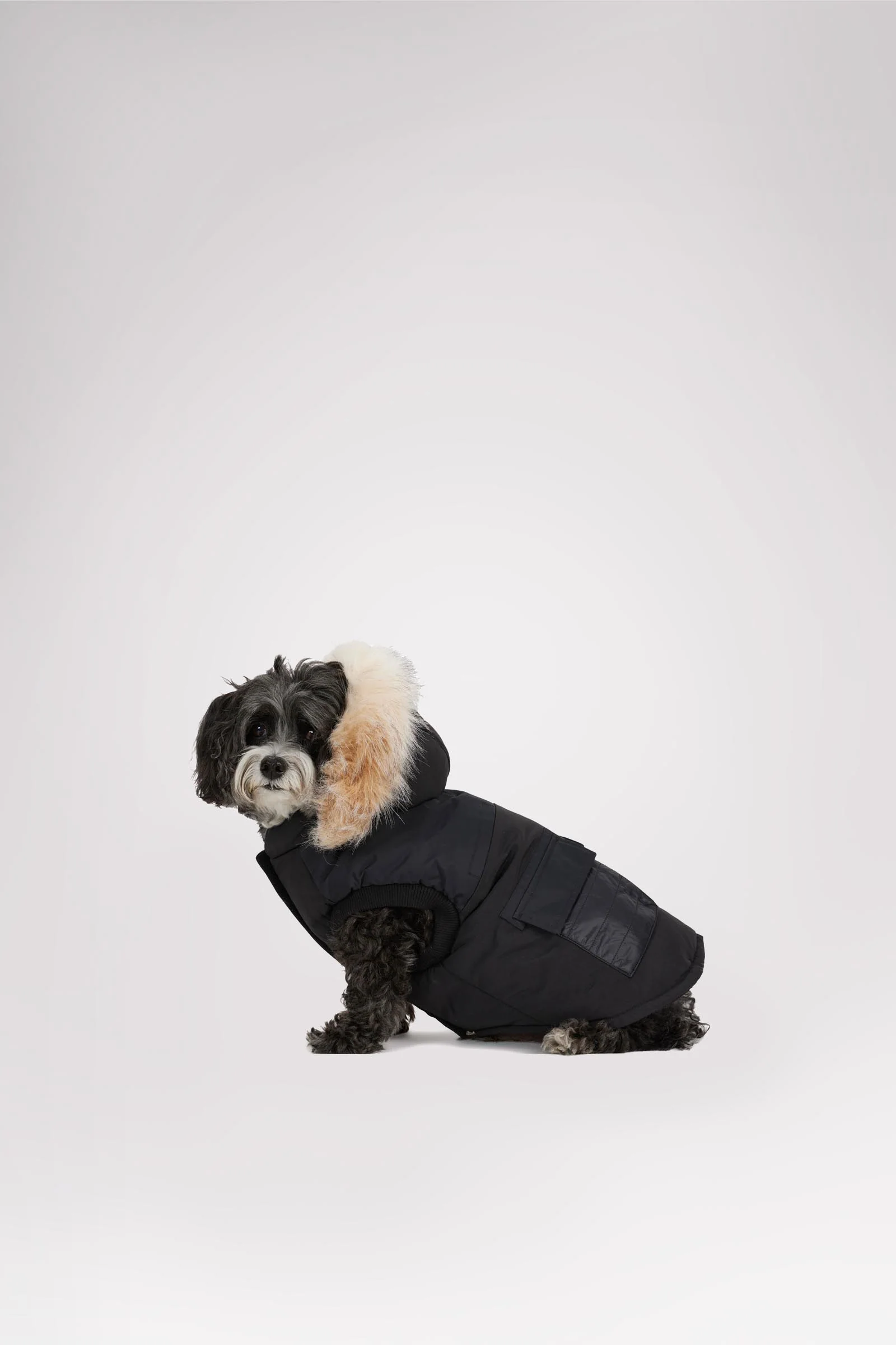 Zeus Jacket for Dogs w/Faux Fur Trim - Image 3