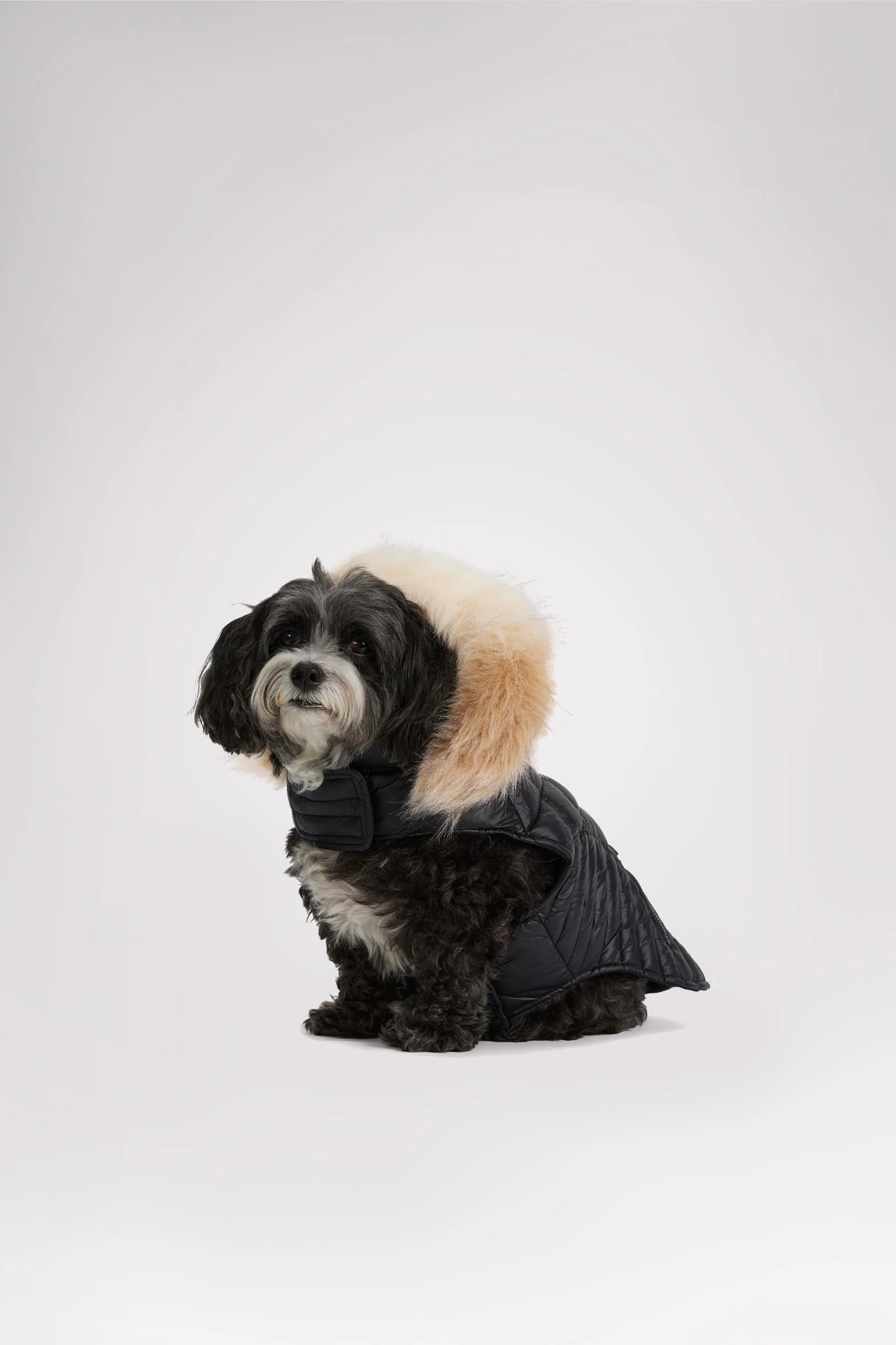 Zola Jacket for Dogs w/Faux Fur Trim - Image 3
